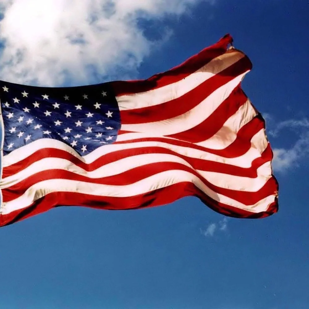 Meet your Posher, Anna - Picture 3 of 3